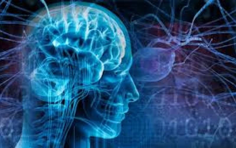 Σκλήρυνση κατά πλάκας: Ποιοι είναι οι παράγοντες που αυξάνουν τον κίνδυνο